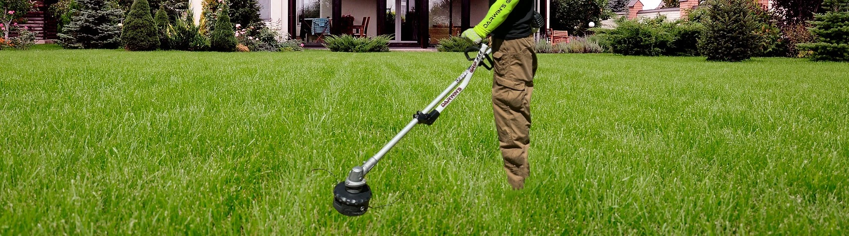 DARWIN'S GRIP Shop 1 DARWIN'S GRIP Shop -DARWIN'S GRIP Shop DARWINS GRIP1